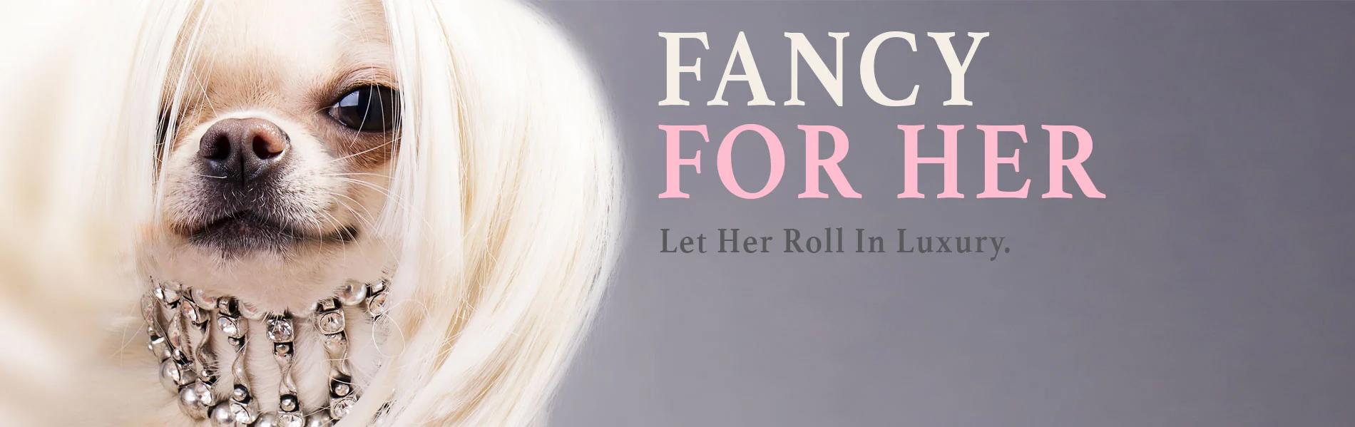 Steps for washing a car