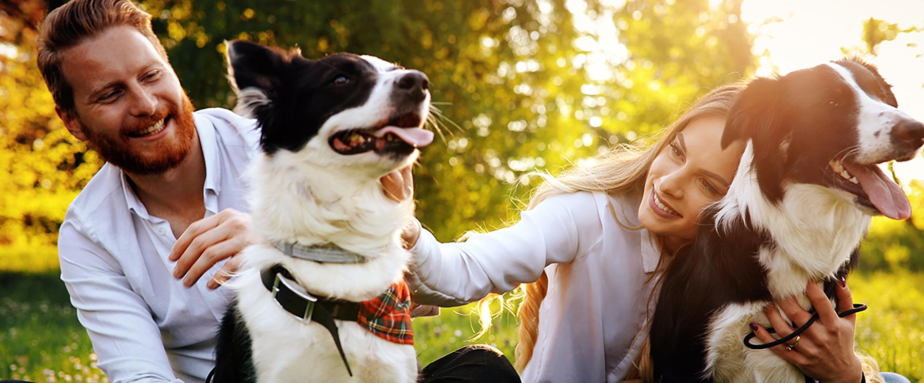 Steps for washing a car